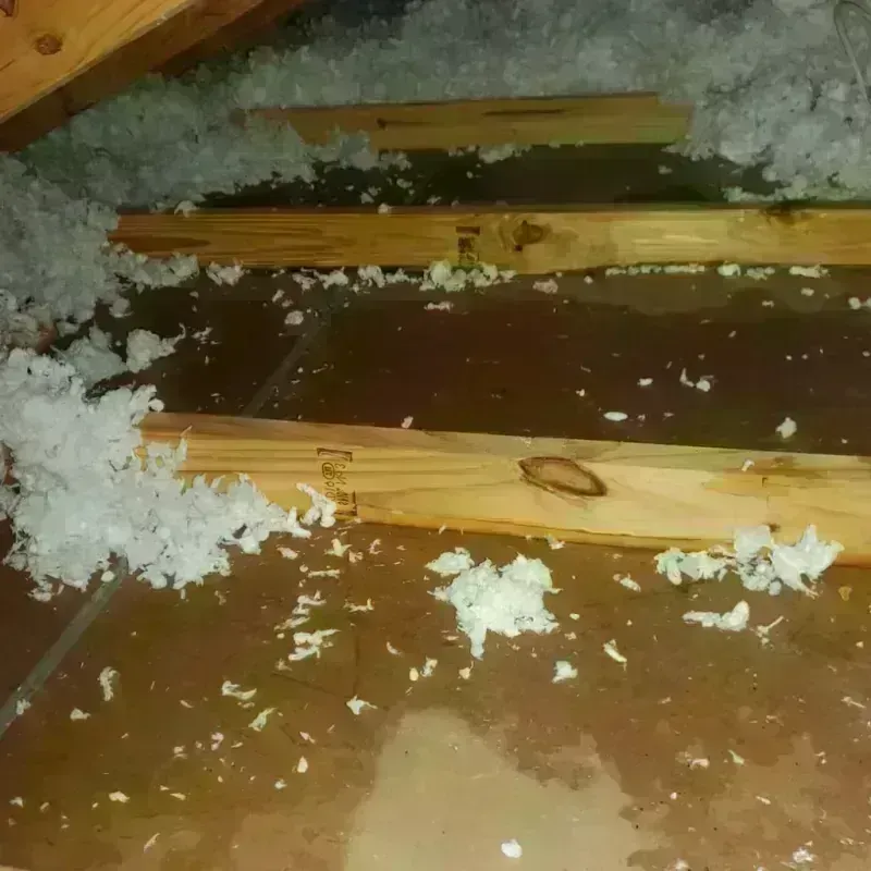 Attic Water Damage in Coweta County, GA